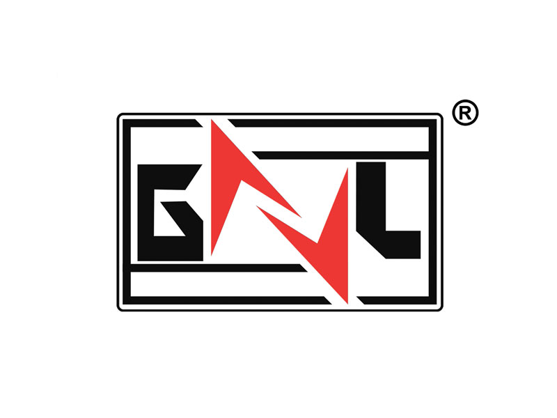 NB GNL logo